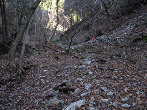 20161206hike (363)